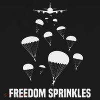 Paratrooper Freedom Sprinkles 82nd 101st Airborne Bucket Hat thumb 4
