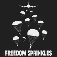 Paratrooper Freedom Sprinkles 82nd 101st Airborne Beanie thumb 2