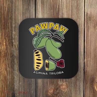 Pawpaw Fruit Tree Asimina Triloba Coaster