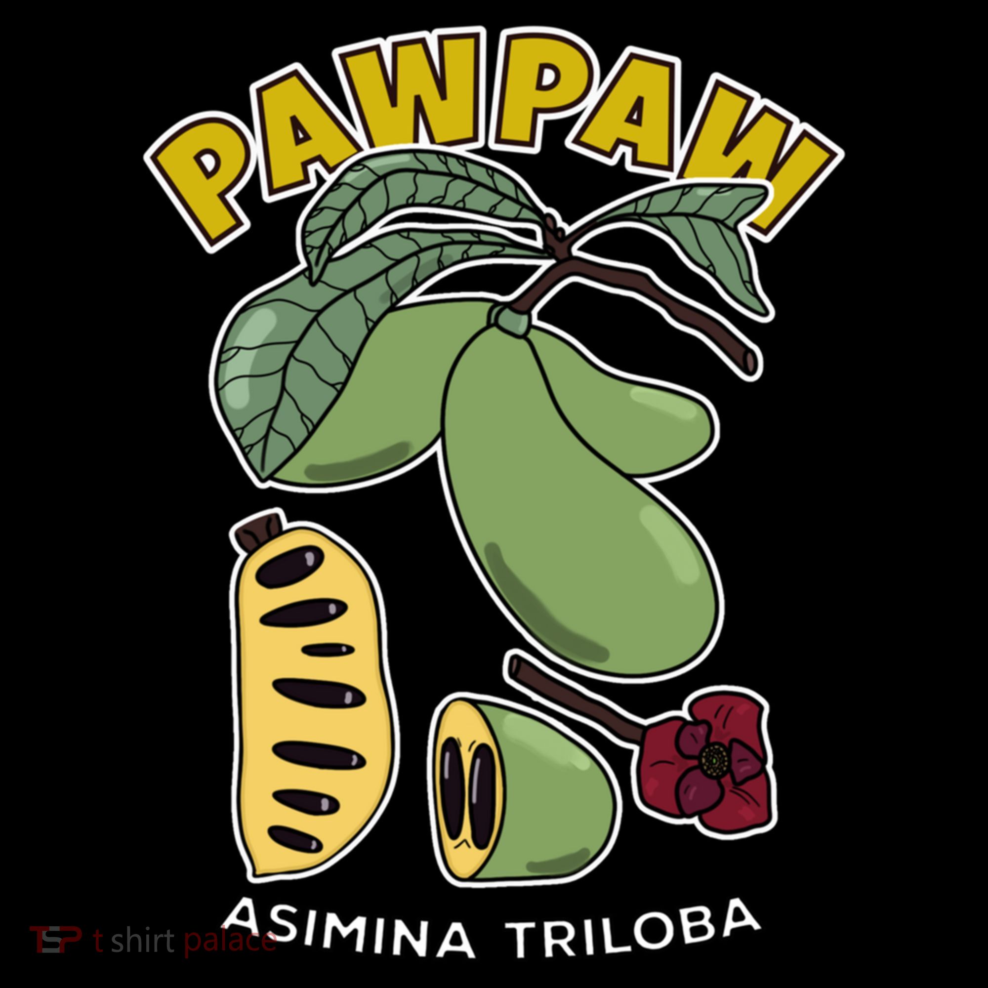 Pawpaw Fruit Tree Asimina Triloba Ornament