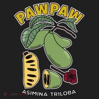Pawpaw Fruit Tree Asimina Triloba Hat thumb 2