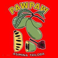 Pawpaw Fruit Tree Asimina Triloba Santa Hat thumb 1