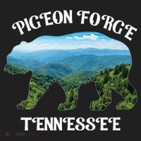 Pigeon Forge Tennessee Bear Great Smoky Mountains Souvenirs Gift Beanie thumb 2