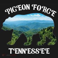 Pigeon Forge Tennessee Bear Great Smoky Mountains Souvenirs Gift Women's Hoodie thumb 2