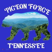 Pigeon Forge Tennessee Bear Great Smoky Mountains Souvenirs Gift Women's Long Sleeve Shirt thumb 2