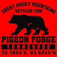 Pigeon Forge Tennessee Bear Great Smoky Mountains Santa Hat thumb 1