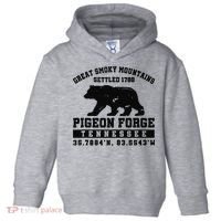 Pigeon Forge Tennessee Bear Great Smoky Mountains Toddler Hoodie thumb 0