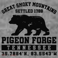 Pigeon Forge Tennessee Bear Great Smoky Mountains Toddler Hoodie thumb 2