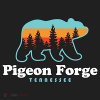 Pigeon Forge Tn Bear Great Smoky Mountains Cool Gift Beanie thumb 2