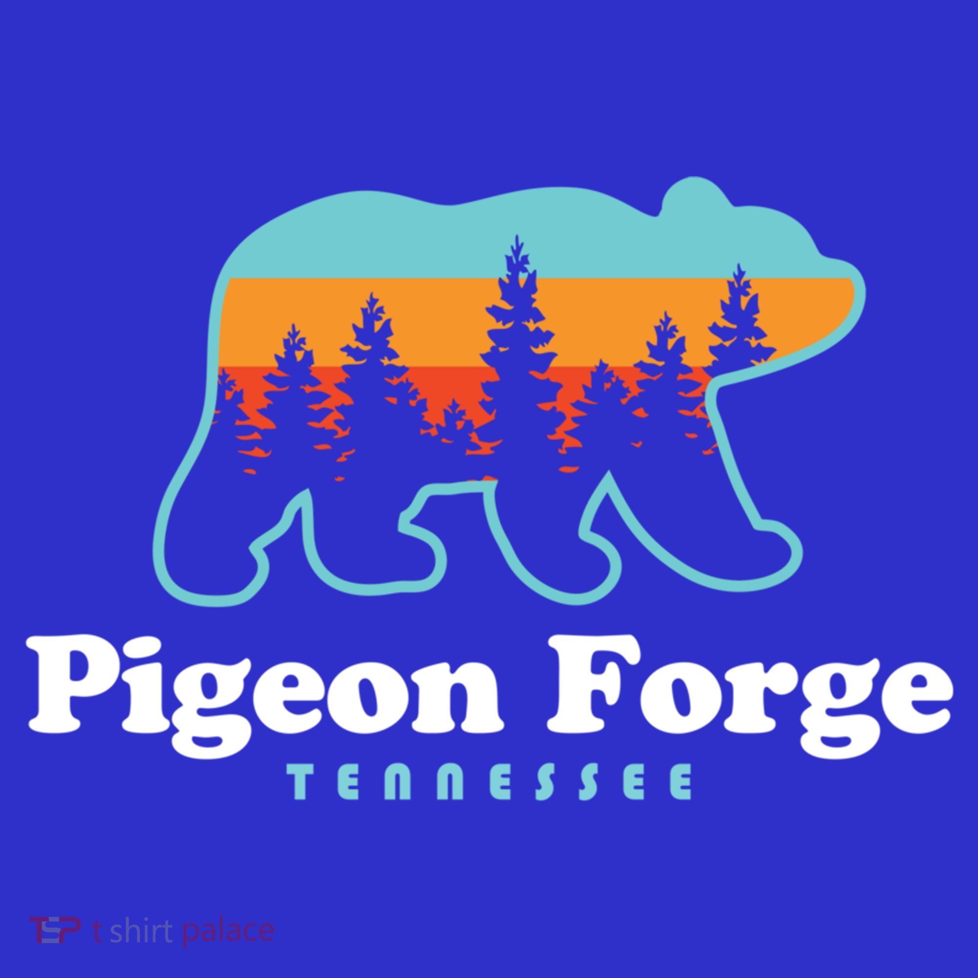 Pigeon Forge Tn Bear Great Smoky Mountains Cool Gift Women's Tank Top