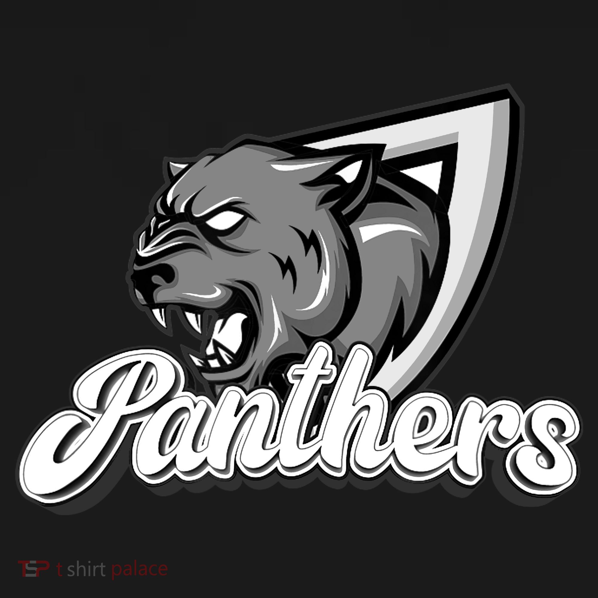 Panthers Fan Team Supporter Sports Animal Wildlife Lover Women's Hoodie