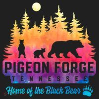 Pigeon Forge Tennessee Bear Great Smoky Mountains Tie Dye Beanie thumb 2