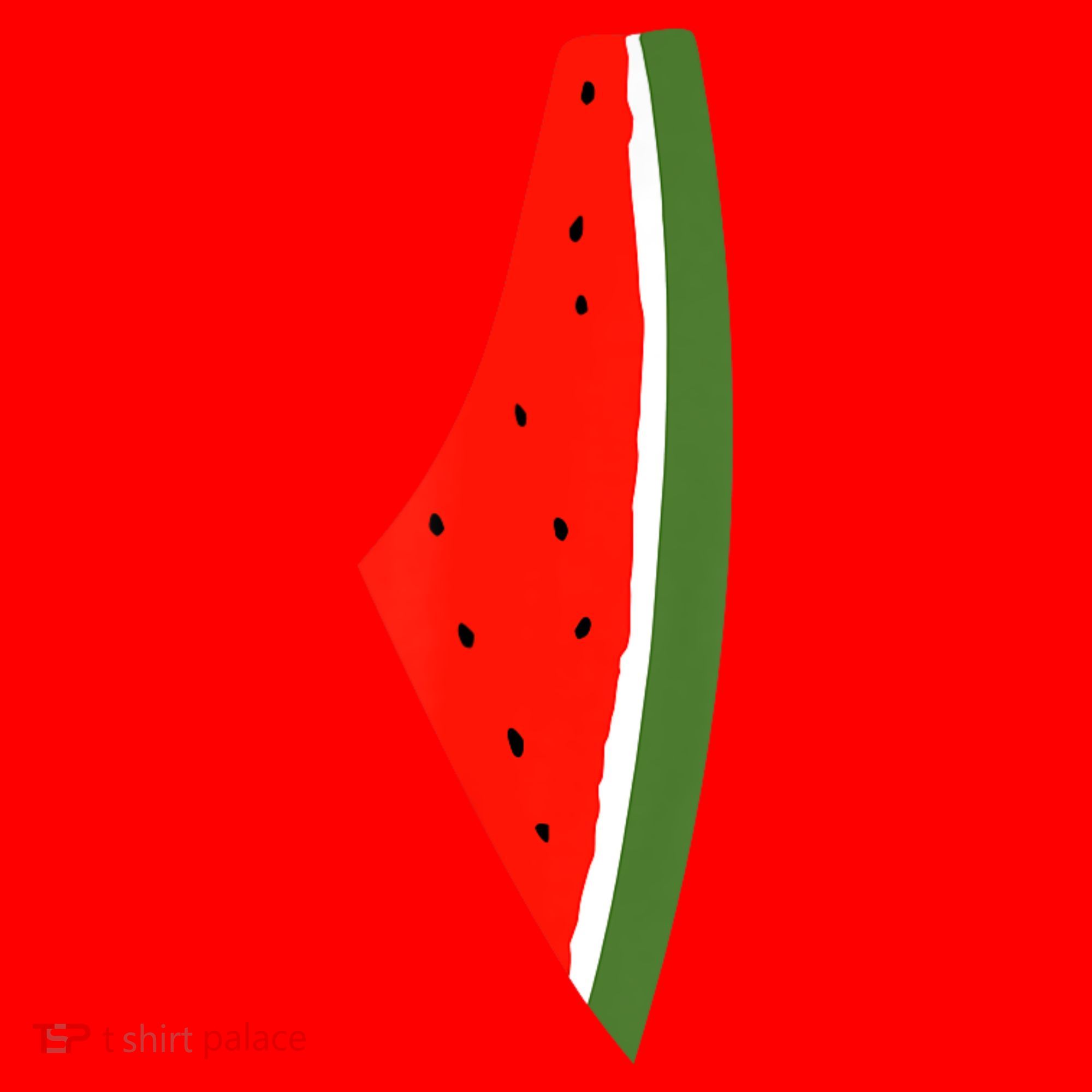 Palestine Freedom Watermelon Santa Hat