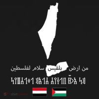 Peace From Yemen To Palestine Yemen Flag Free Palestine Women's Tank Top thumb 5