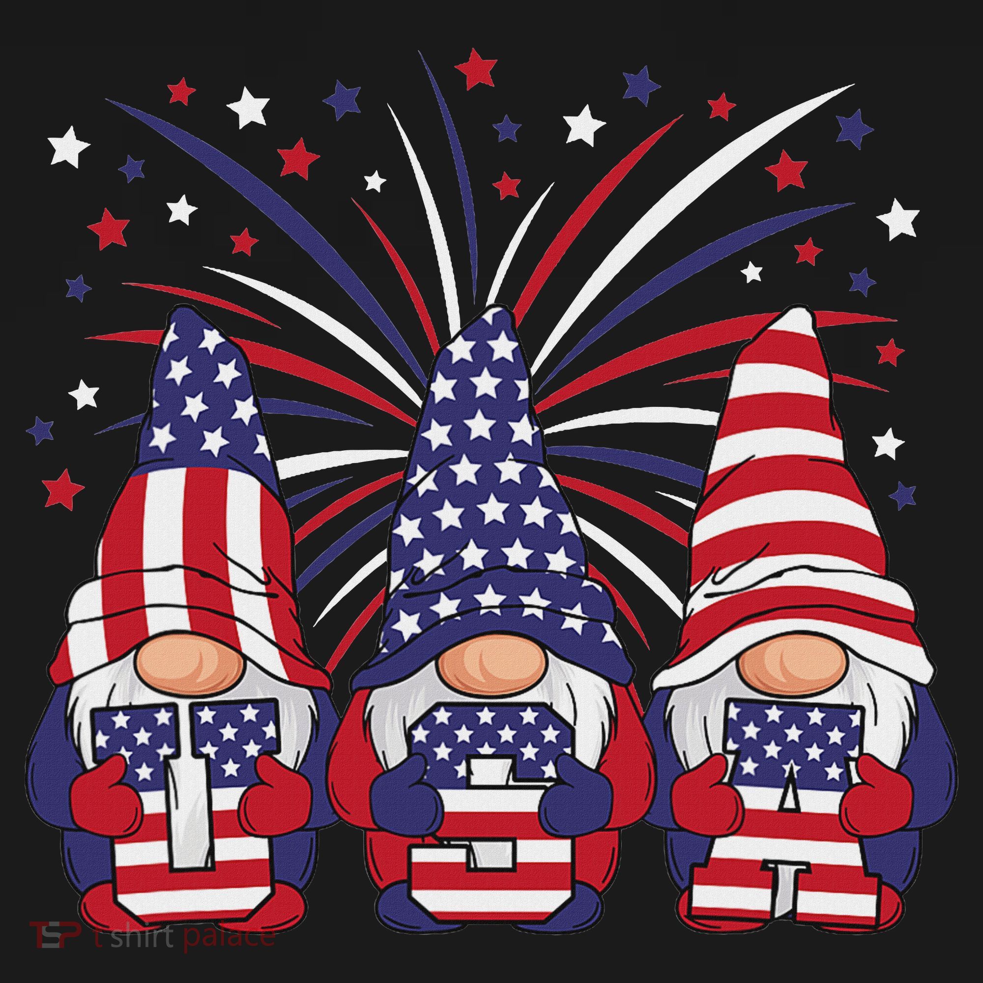 Patriotic Gnomes 4th Of July Usa Women Women's Hoodie