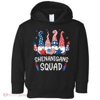 Patriotic Gnomes 4th Of July Funny Shenanigans Squad Toddler Hoodie thumb 0