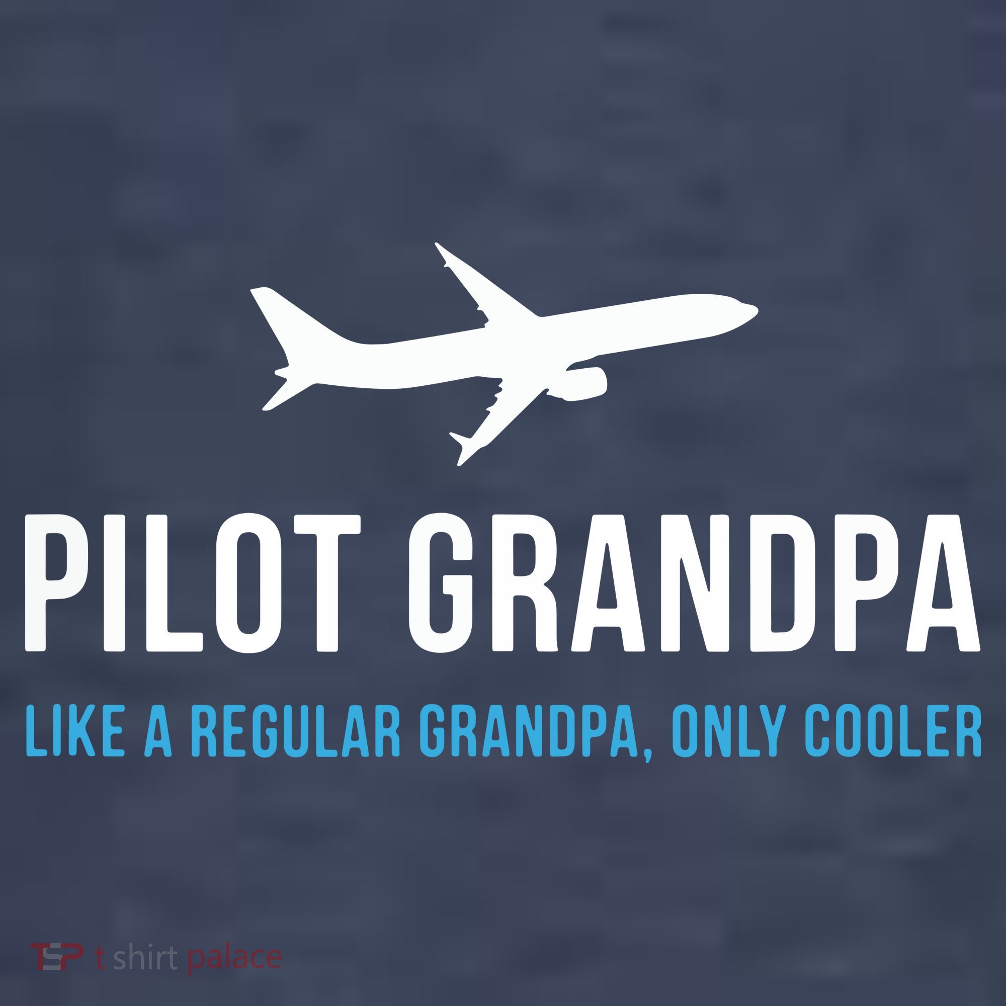 Pilot Grandpa Funny Cute Airplane Aviation Gift Kids T-Shirt