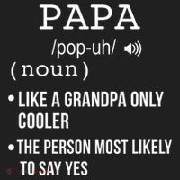 Papa Gift From Grandkids Father's Day Shirt Papa Definition Tumbler thumb 3