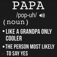 Papa Gift From Grandkids Father's Day Shirt Papa Definition Ornament thumb 1