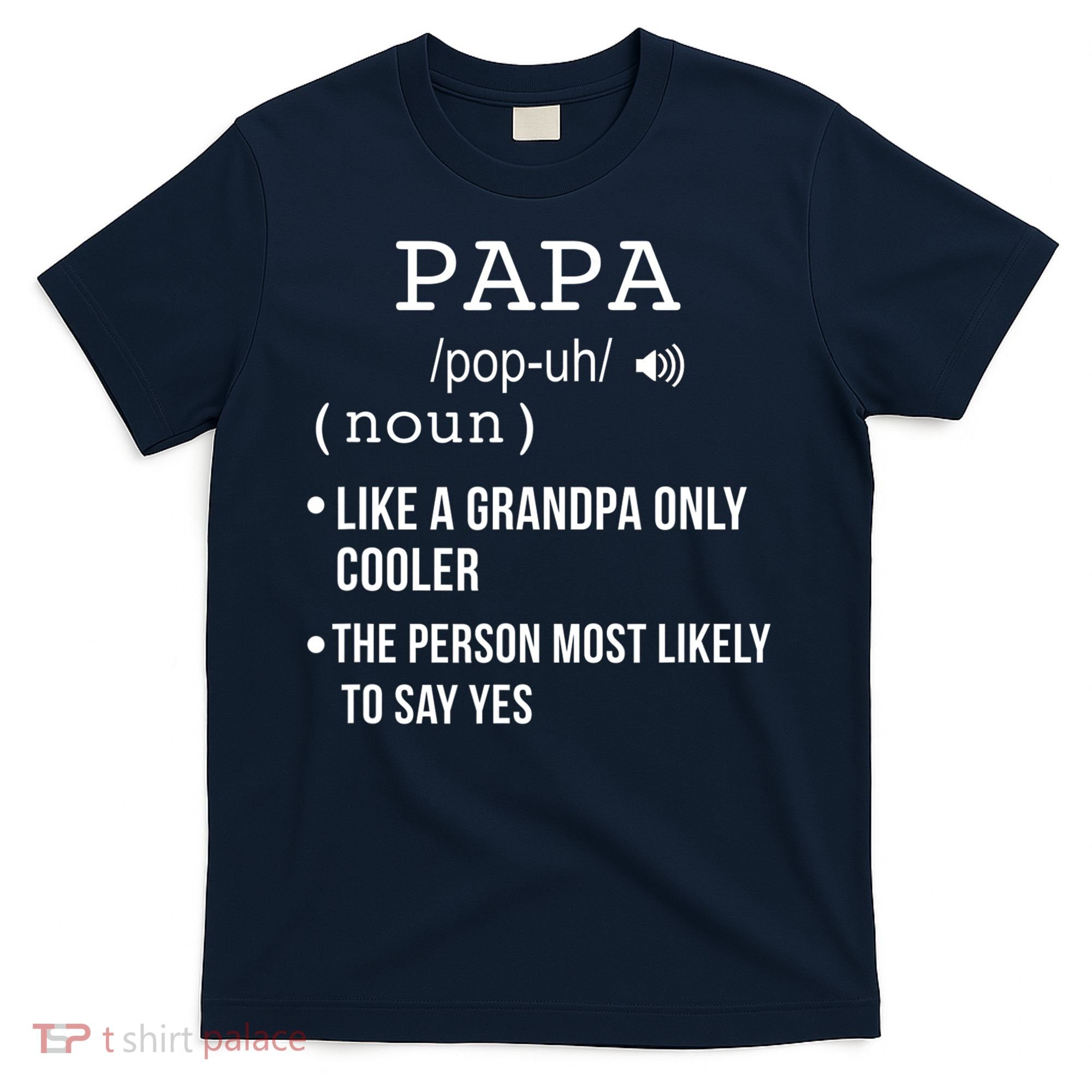 Papa Gift From Grandkids Father's Day Shirt Papa Definition T-Shirt