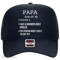 Papa Gift From Grandkids Father's Day Shirt Papa Definition Hat thumb 0