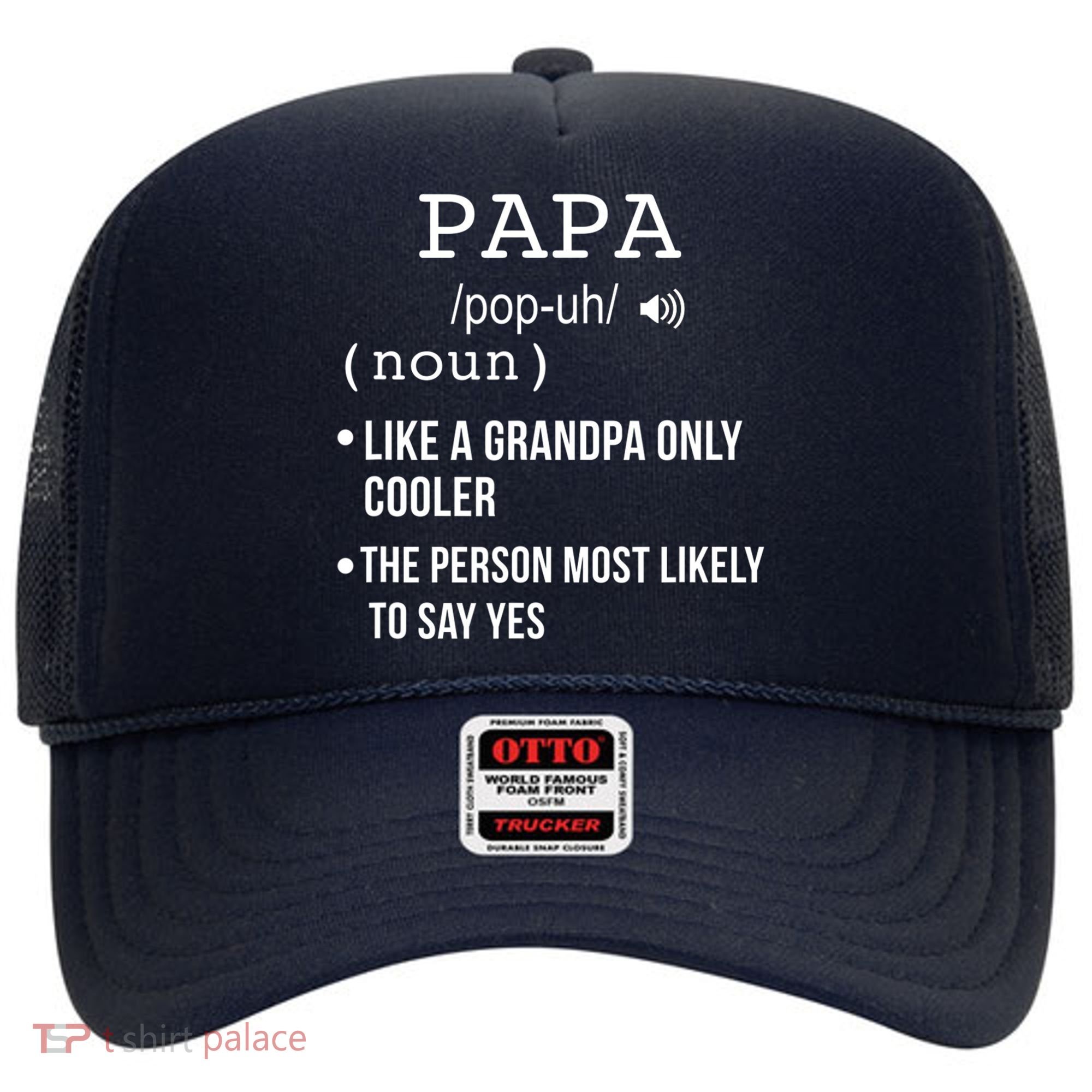 Papa Gift From Grandkids Father's Day Shirt Papa Definition Hat