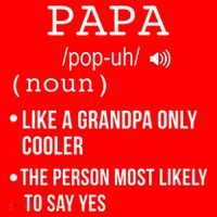 Papa Gift From Grandkids Father's Day Shirt Papa Definition Santa Hat thumb 1