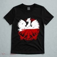 Poland Gift For Polish Poland Polska Krakoau T-Shirt thumb 5