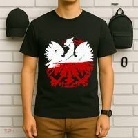 Poland Gift For Polish Poland Polska Krakoau T-Shirt thumb 6