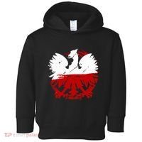 Poland Gift For Polish Poland Polska Krakoau Toddler Hoodie thumb 0