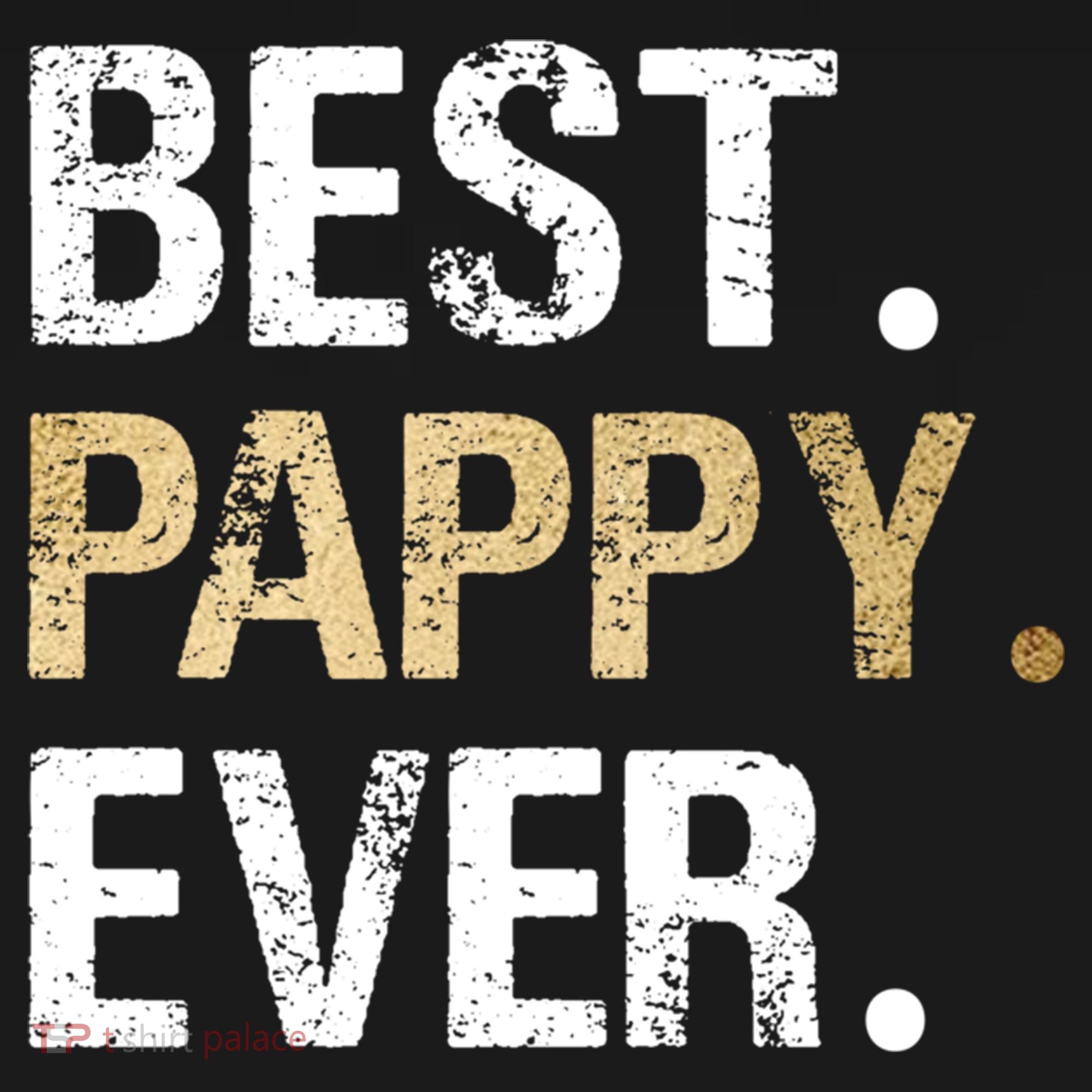 Pappy Gift From Granddaughter Grandson Best Pappy Ever Gift Women's Hoodie