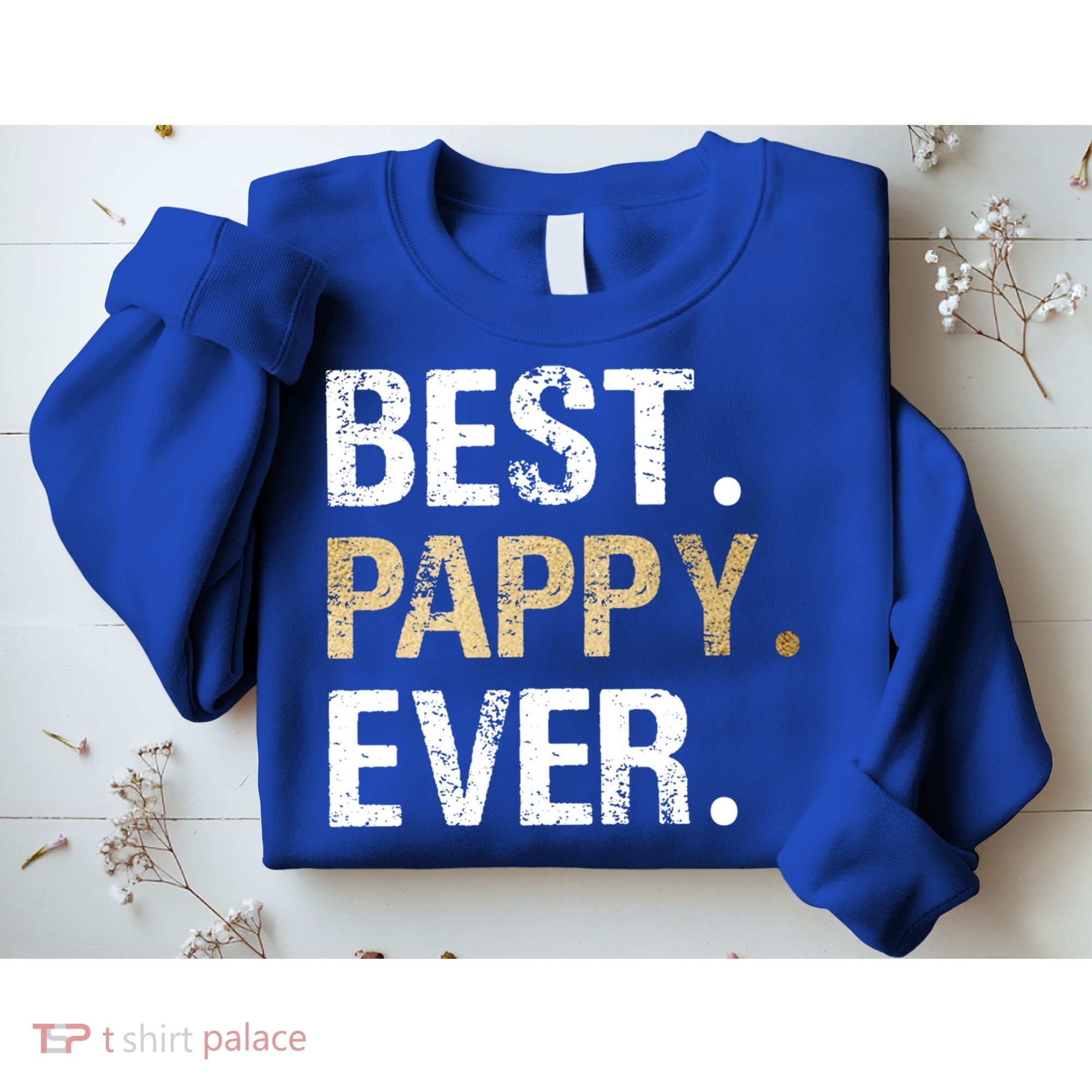 Pappy Gift From Granddaughter Grandson Best Pappy Ever Gift Sweatshirt