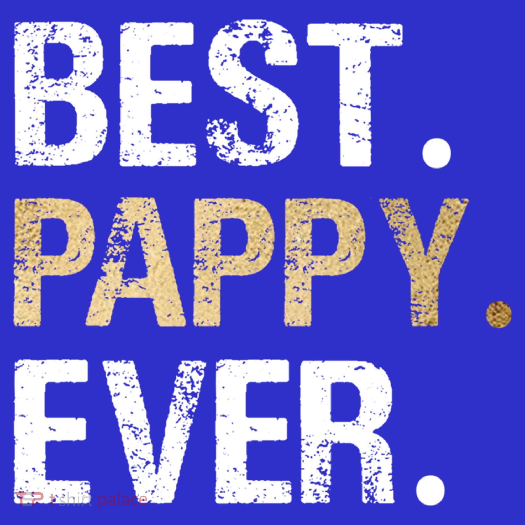 Pappy Gift From Granddaughter Grandson Best Pappy Ever Gift T-Shirt