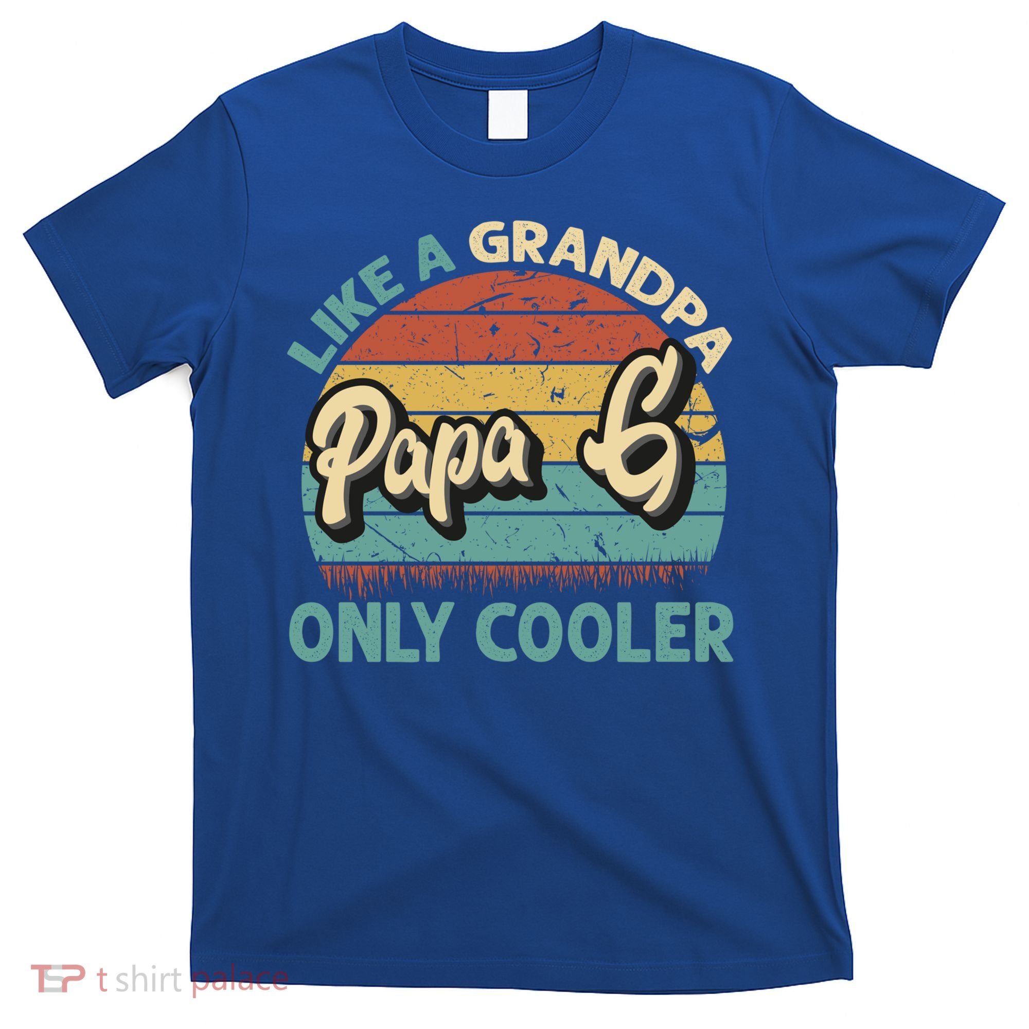 Papa G Like A Grandpa Only Cooler Vintage Dad Fathers Day Gift T-Shirt
