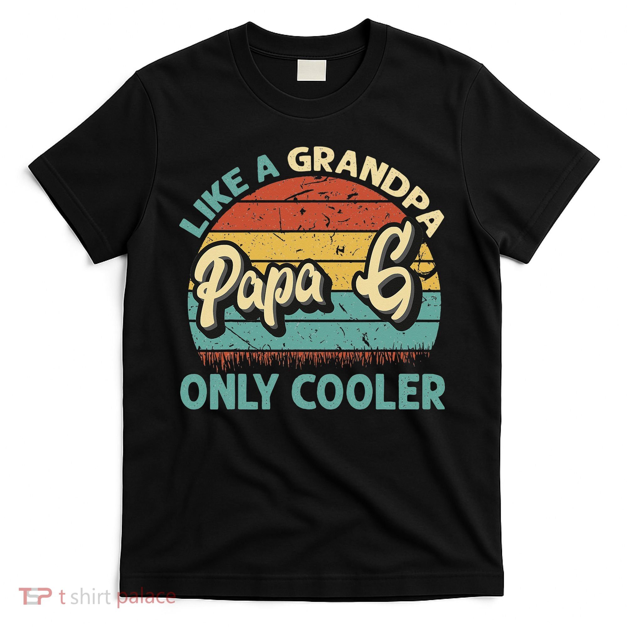 Papa G Like A Grandpa Only Cooler Vintage Dad Fathers Day T-Shirt