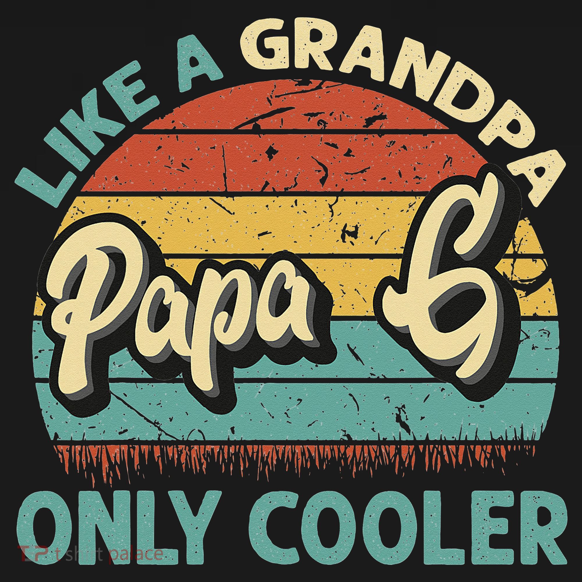 Papa G Like A Grandpa Only Cooler Vintage Dad Fathers Day T-Shirt