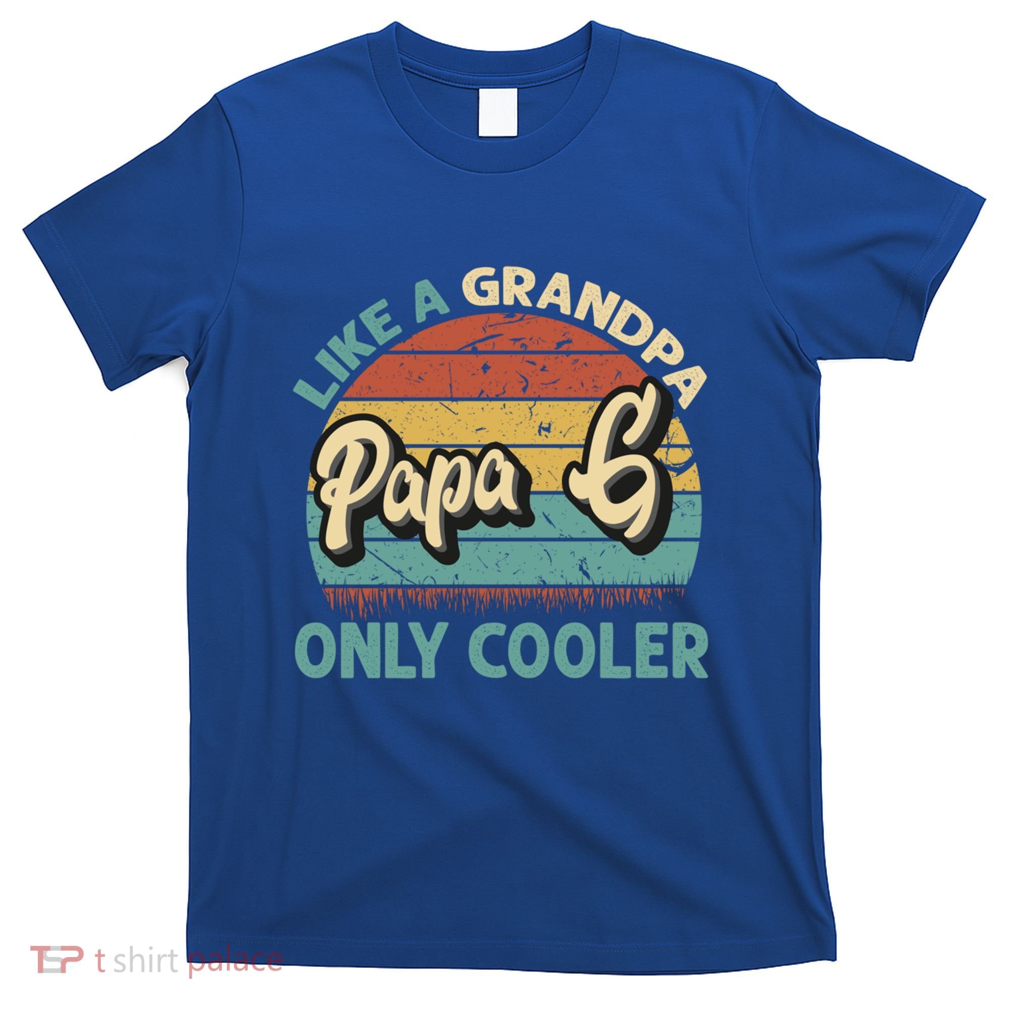 Papa G Like A Grandpa Only Cooler Vintage Dad Fathers Day Cute Gift T-Shirt