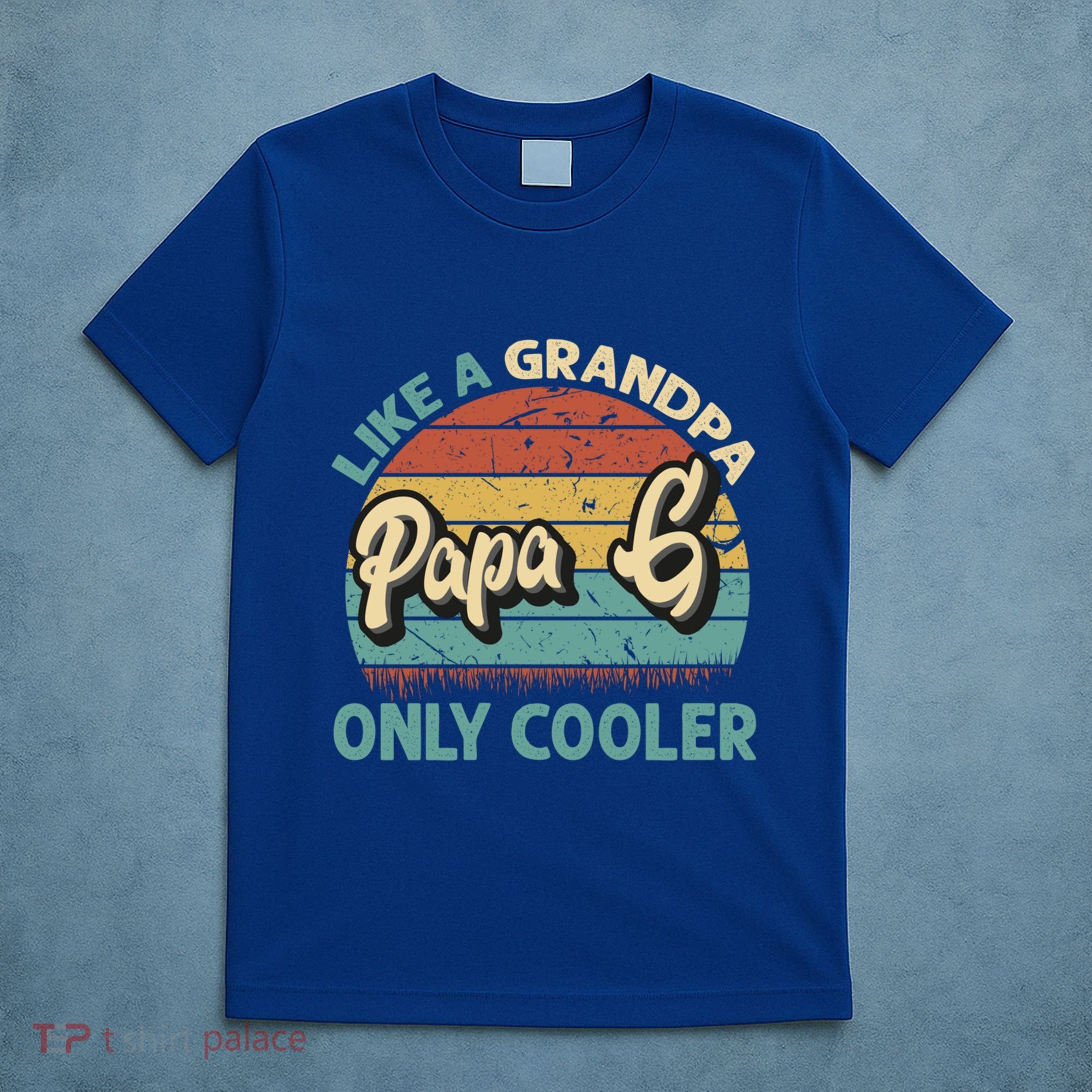 Papa G Like A Grandpa Only Cooler Vintage Dad Fathers Day Cute Gift T-Shirt