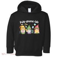 Polygnomeials Gnomes Math Algebra Teacher Back To School Toddler Hoodie thumb 0