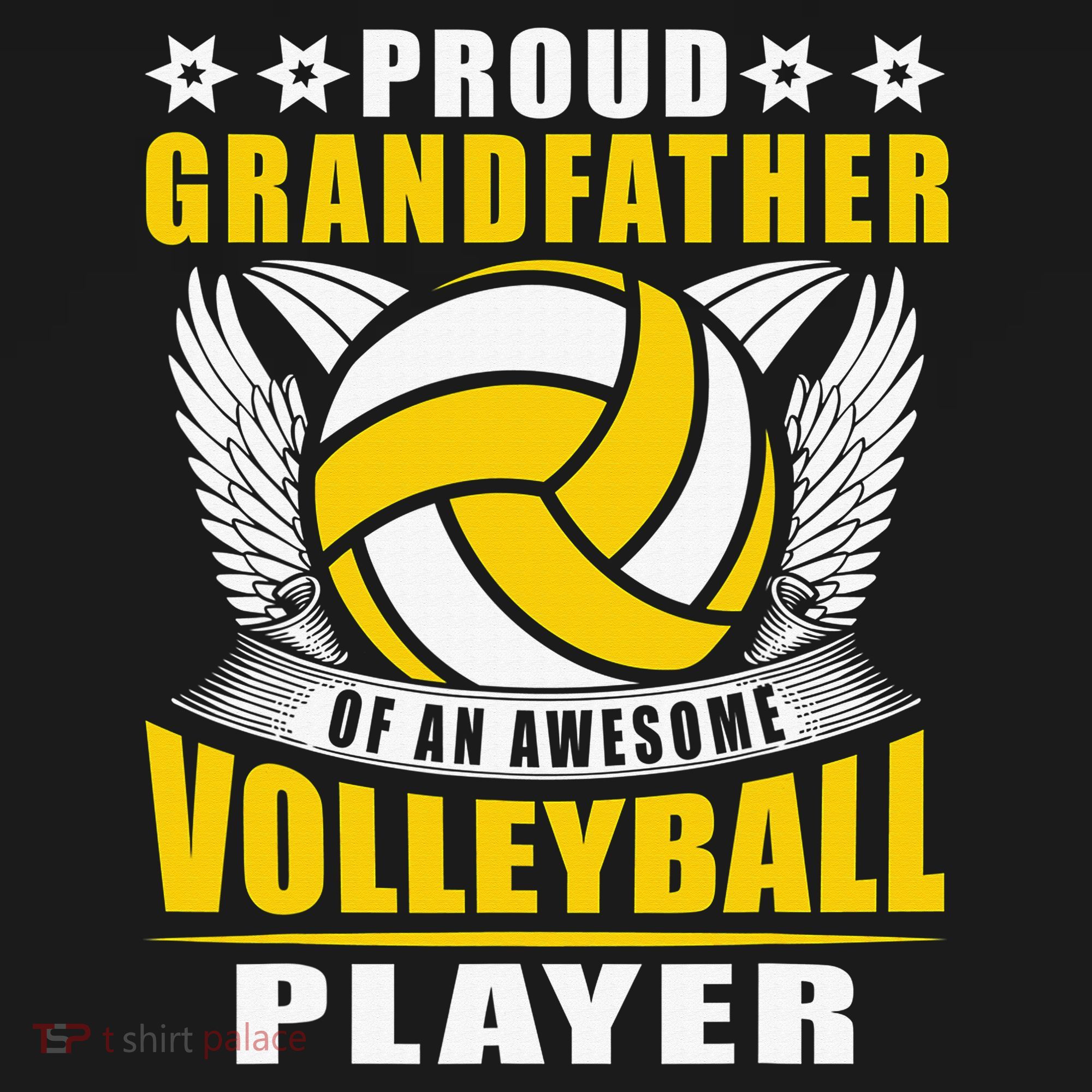 Proud Grandfather Of An Awesome Volleyball Player Women's Hoodie