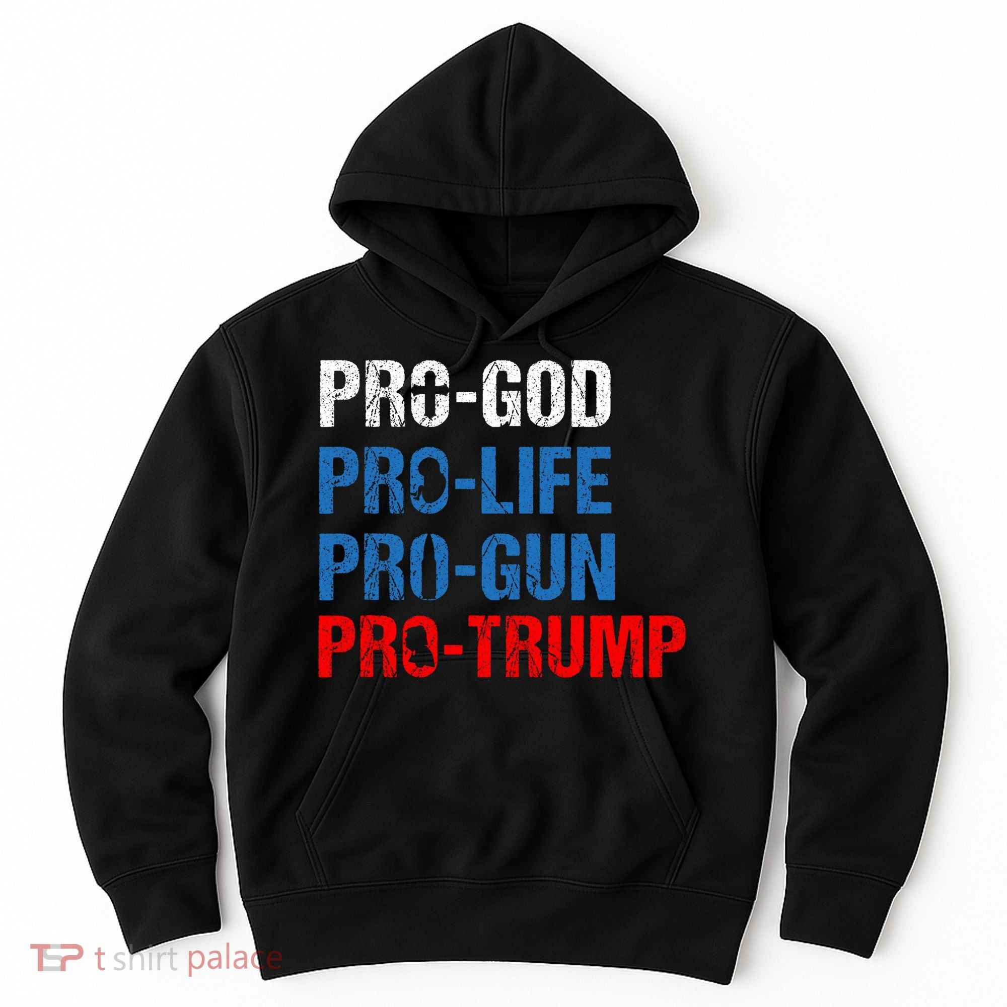 Pro God Pro Life Pro Gun Pro Trump Patriotic Hoodie