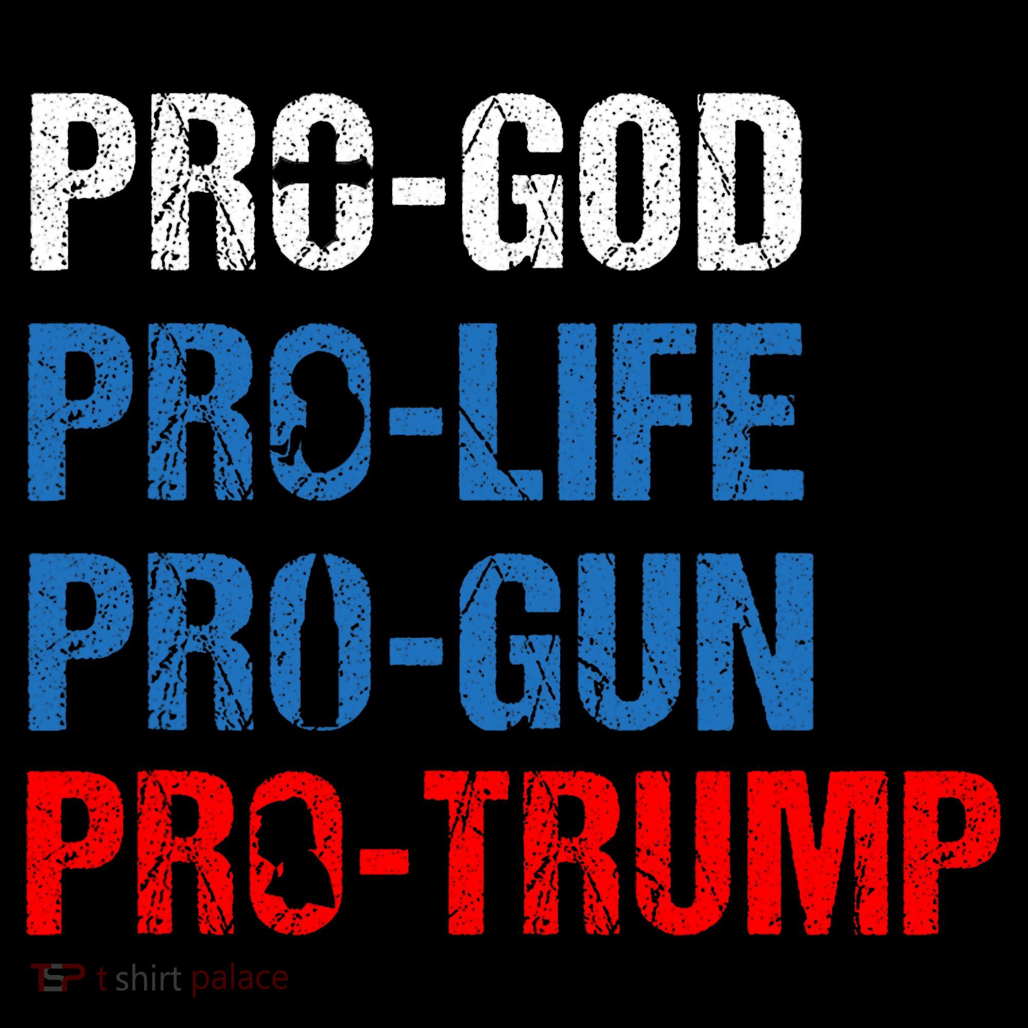 Pro God Pro Life Pro Gun Pro Trump Patriotic Women's Hoodie