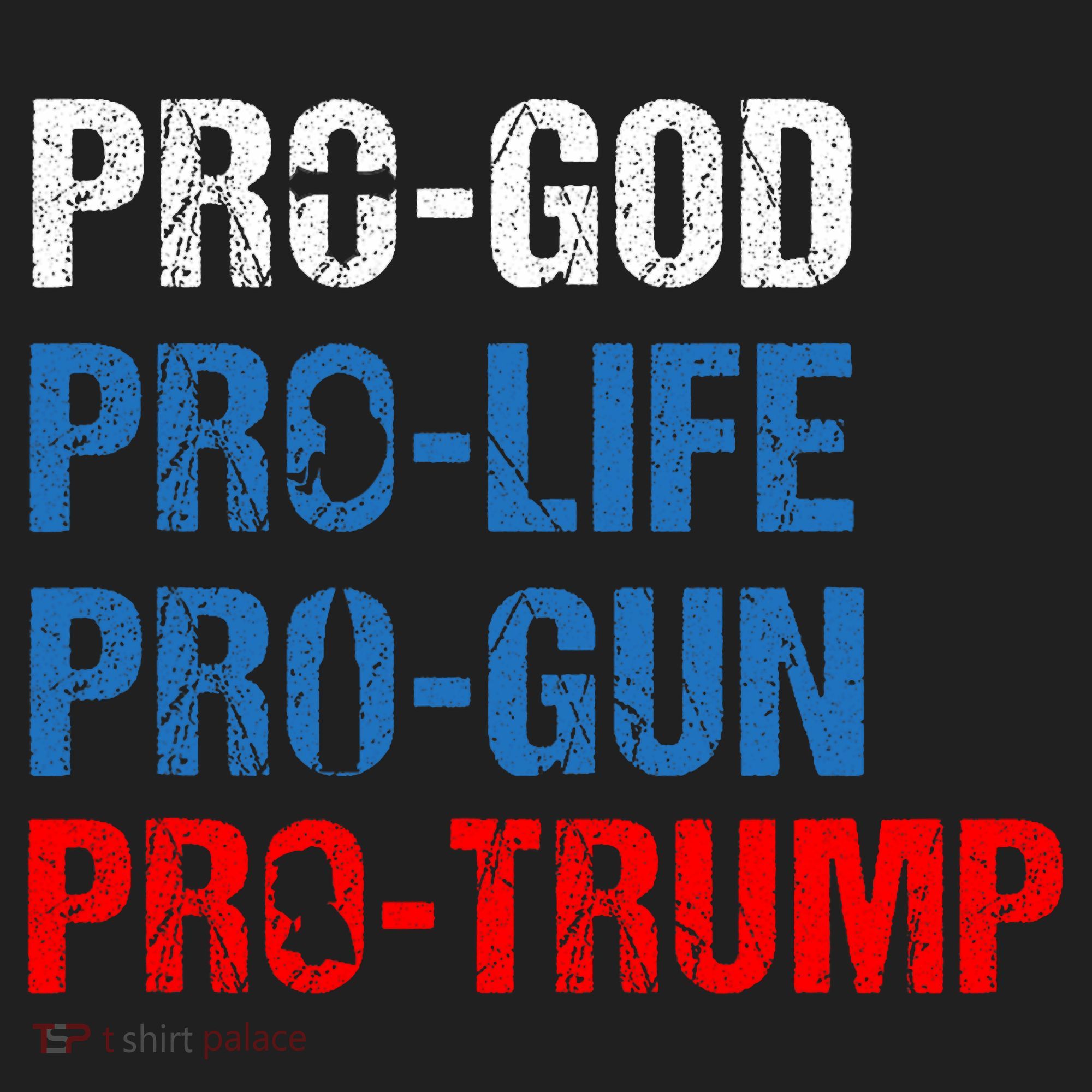 Pro God Pro Life Pro Gun Pro Trump Patriotic Tumbler