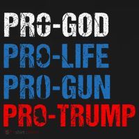 Pro God Pro Life Pro Gun Pro Trump Patriotic Mousepad thumb 1