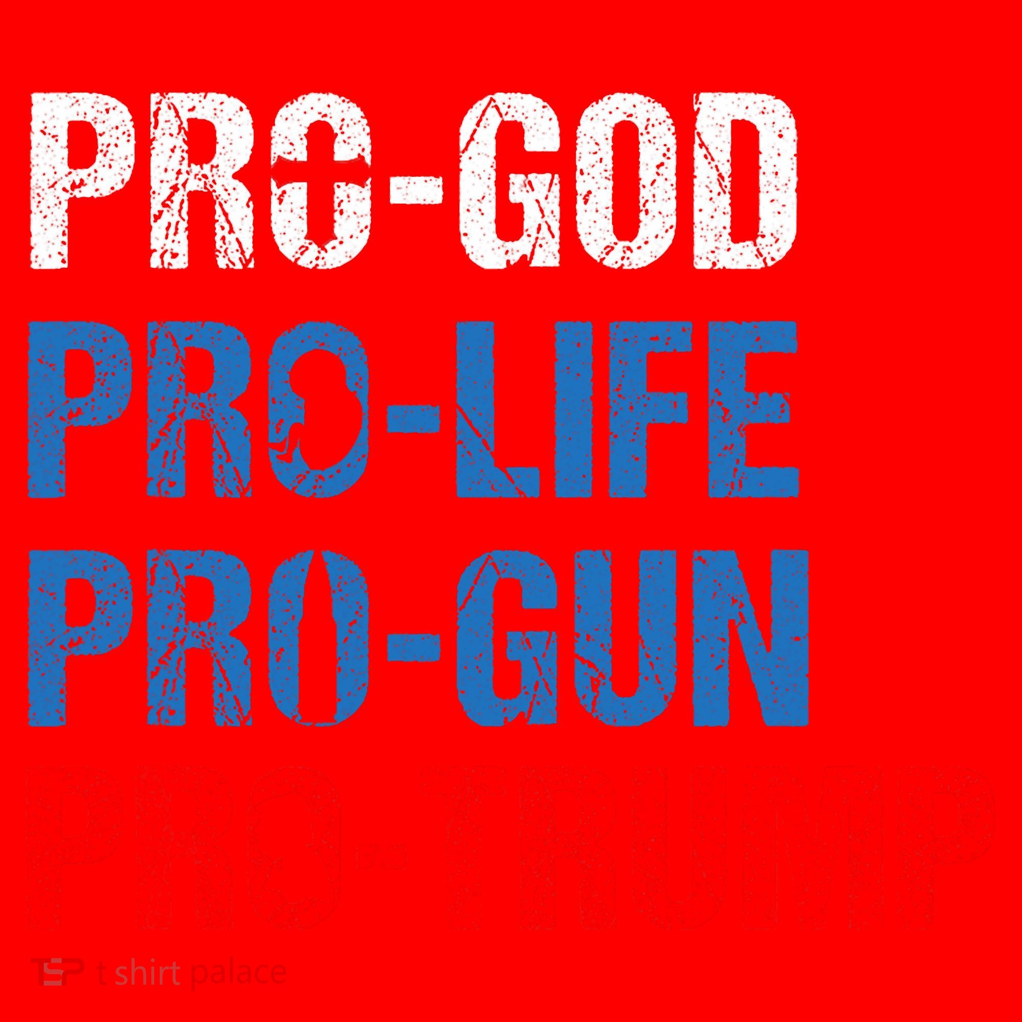 Pro God Pro Life Pro Gun Pro Trump Patriotic Santa Hat