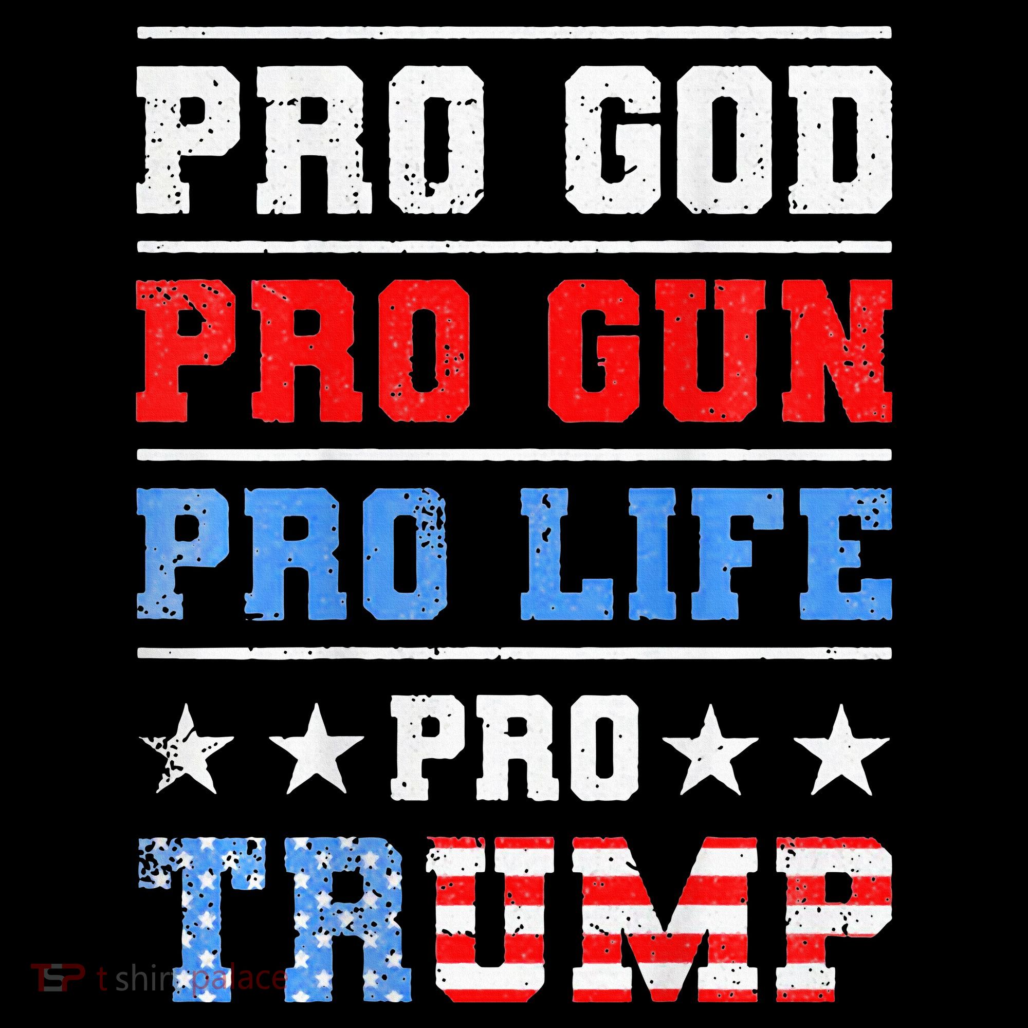Pro God Pro Gun Pro Life Pro Trump Women's Hoodie