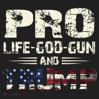 Pro God Pro Gun Pro Life Pro Trump Women's Sweatshirt thumb 2
