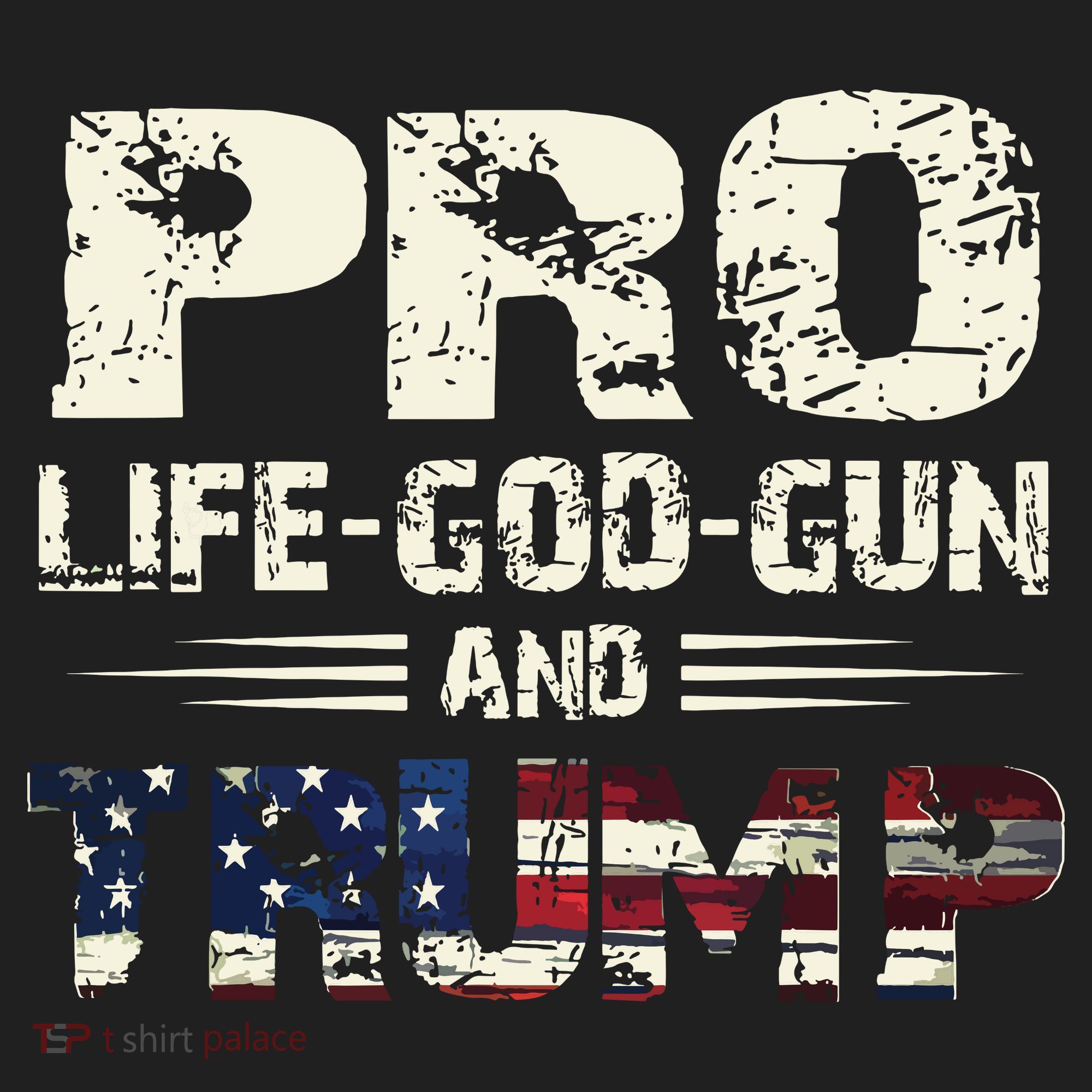 Pro God Pro Gun Pro Life Pro Trump Women's Sweatshirt