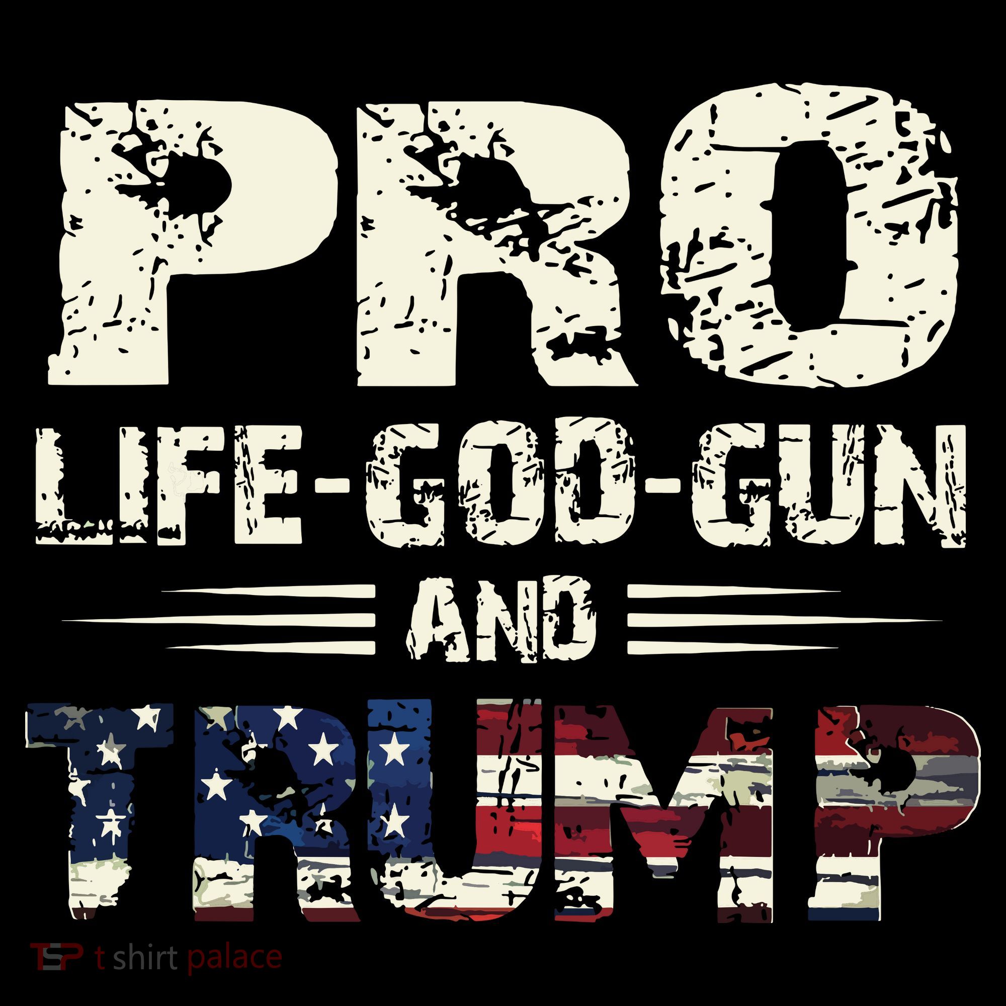 Pro God Pro Gun Pro Life Pro Trump Women's Hoodie