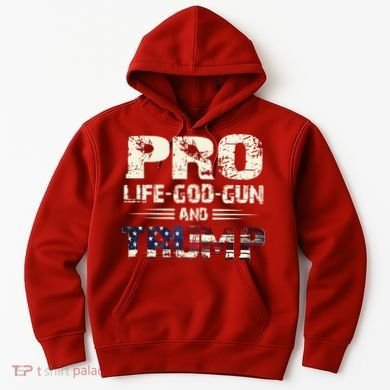 Pro God Pro Gun Pro Life Pro Trump Hoodie